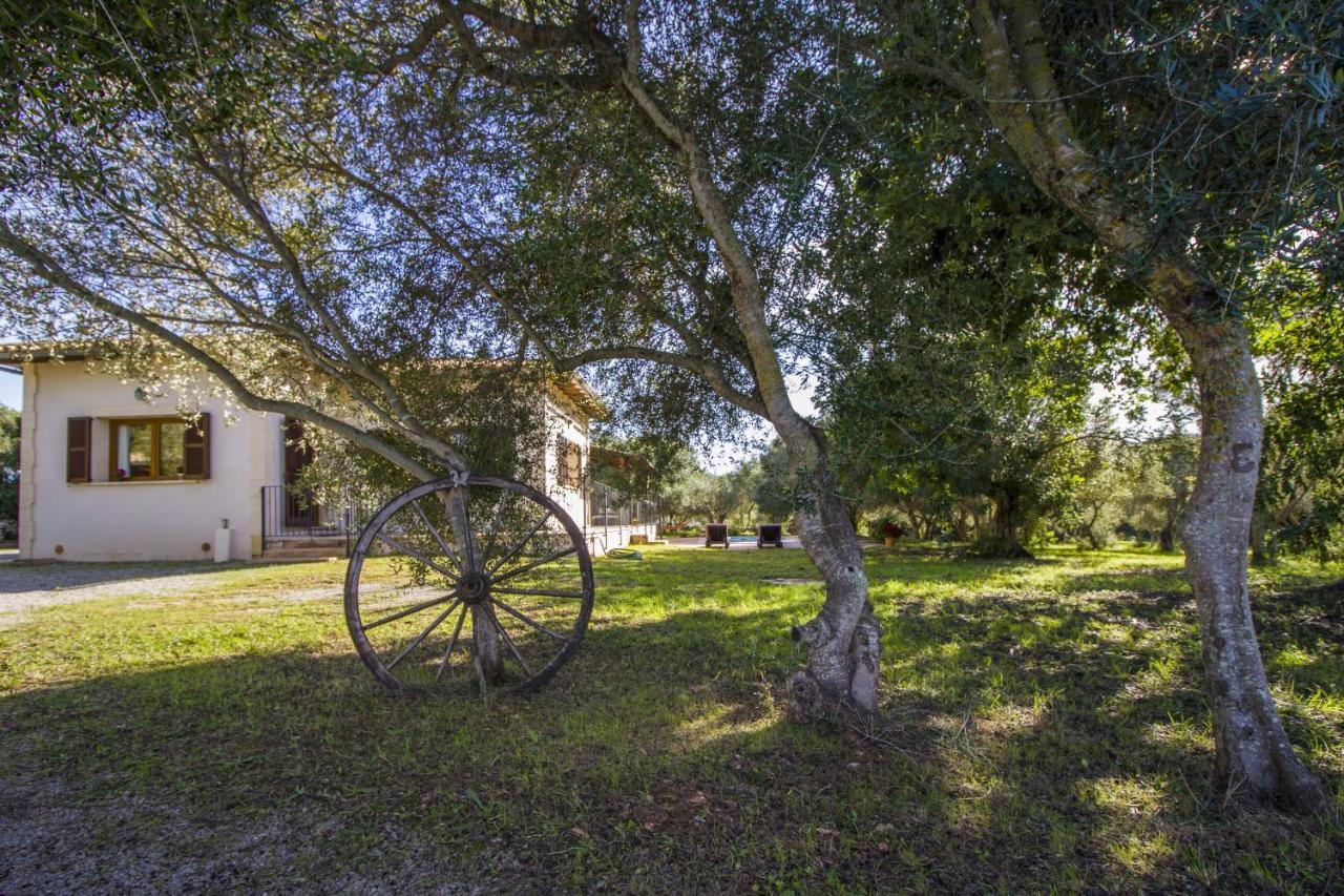 Finca Katia Capdepera  Exteriér fotografie